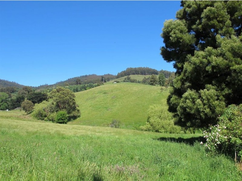 Lot 1/4 Tunbridges Road, Glen Huon TAS 7109