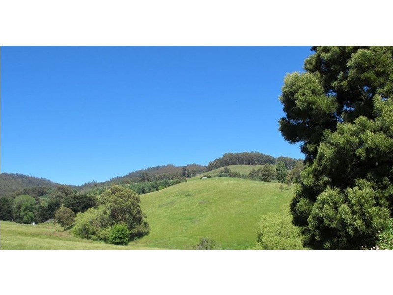Lot 1/4 Tunbridges Road, Glen Huon TAS 7109