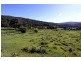 3/Titles Kermandie River Road, Geeveston TAS 7116