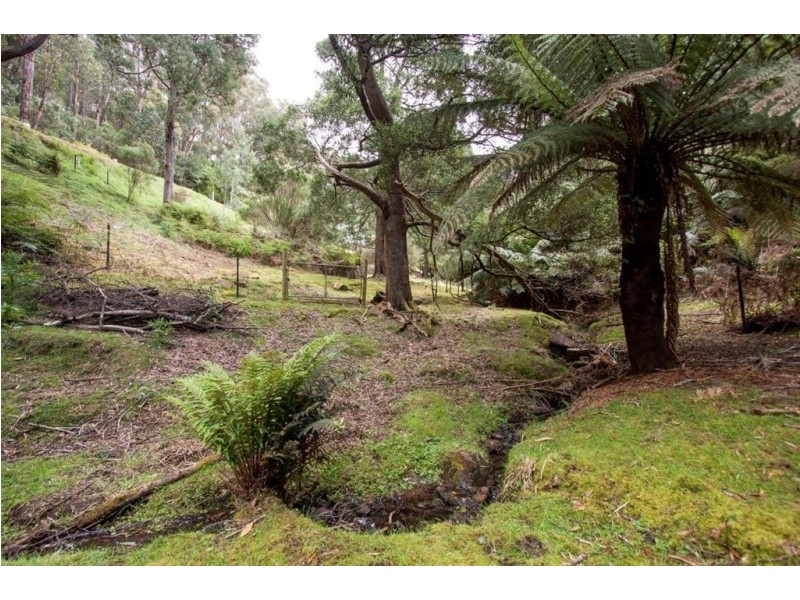 158 Carters Road, Port Huon TAS 7116