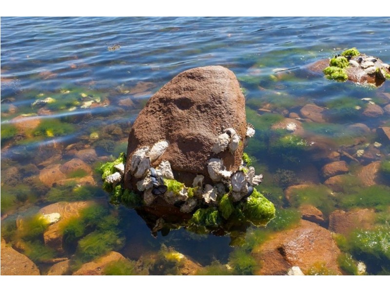 165 Esperance Coast Road, Surges Bay TAS 7116