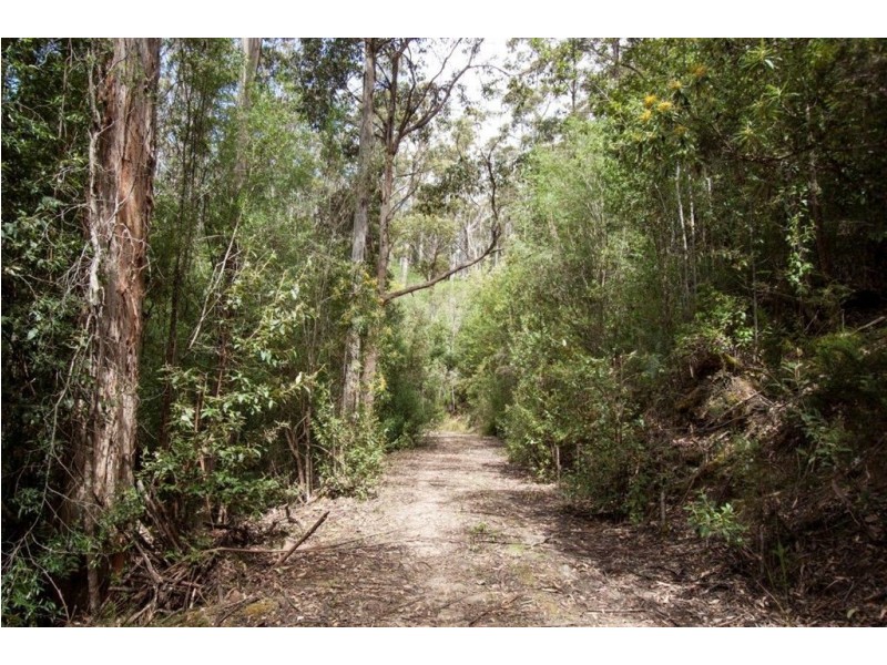 - Constance Road, Cygnet TAS 7112