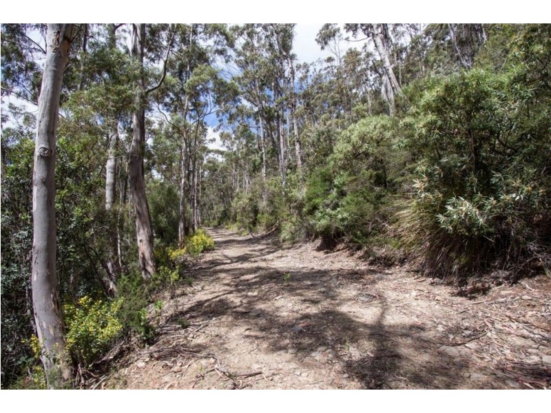 - Constance Road, Cygnet TAS 7112
