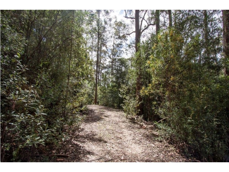 - Constance Road, Cygnet TAS 7112