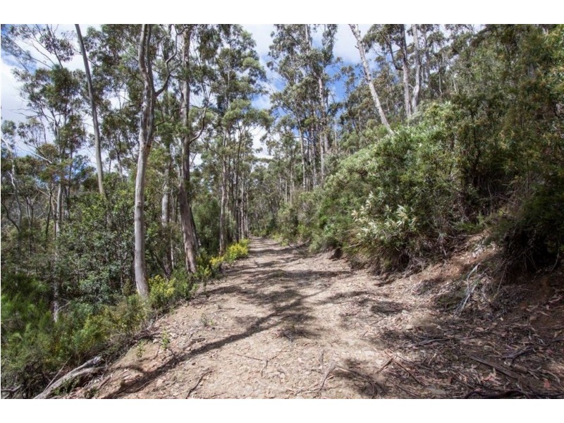 - Constance Road, Cygnet TAS 7112