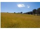 Lot 2 Cross Road, Lucaston TAS 7109
