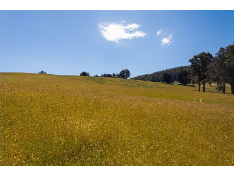 Lot 2 Cross Road, Lucaston TAS 7109