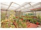 3770 Huon Highway, Franklin TAS 7113