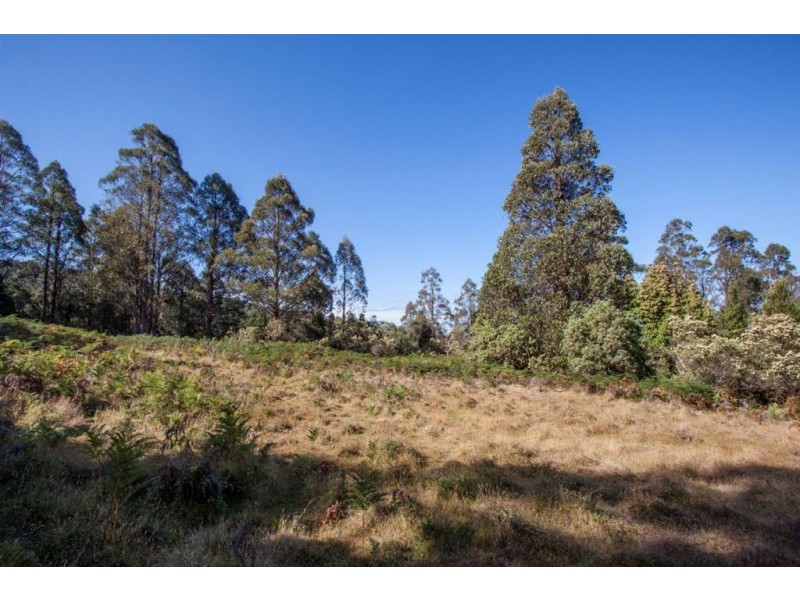 - Nicholls Rivulet Road, Nicholls Rivulet TAS 7112