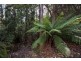 - Nicholls Rivulet Road, Nicholls Rivulet TAS 7112