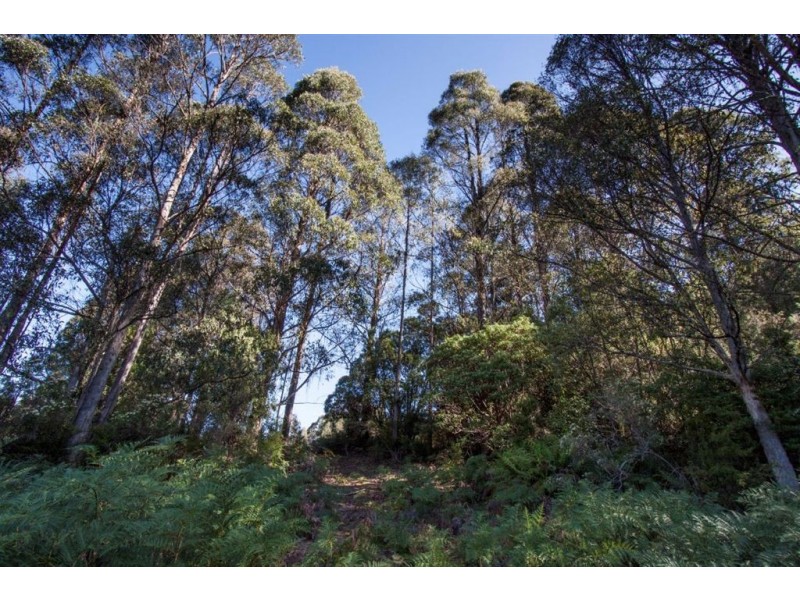 - Nicholls Rivulet Road, Nicholls Rivulet TAS 7112
