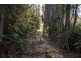 - Nicholls Rivulet Road, Nicholls Rivulet TAS 7112