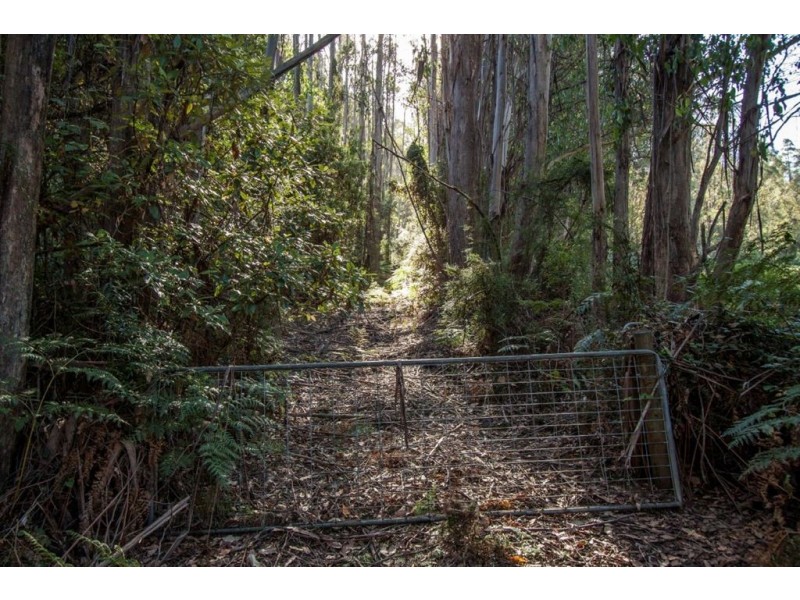 - Nicholls Rivulet Road, Nicholls Rivulet TAS 7112