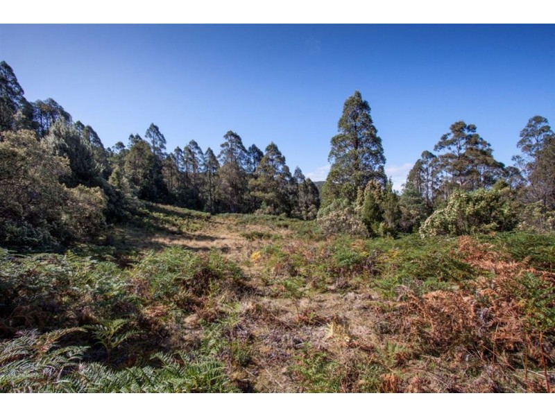 - Nicholls Rivulet Road, Nicholls Rivulet TAS 7112