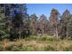 - Nicholls Rivulet Road, Nicholls Rivulet TAS 7112