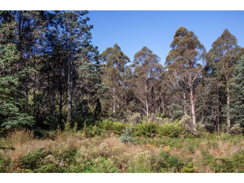 - Nicholls Rivulet Road, Nicholls Rivulet TAS 7112