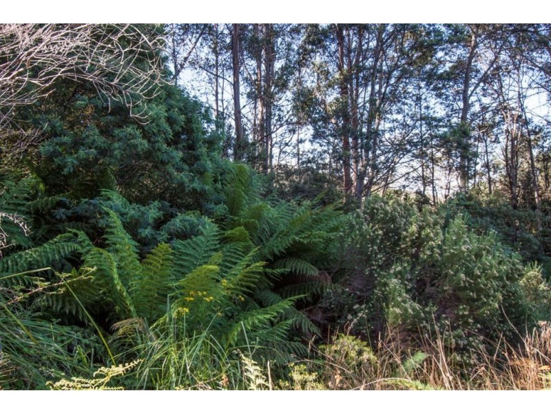 - Nicholls Rivulet Road, Nicholls Rivulet TAS 7112