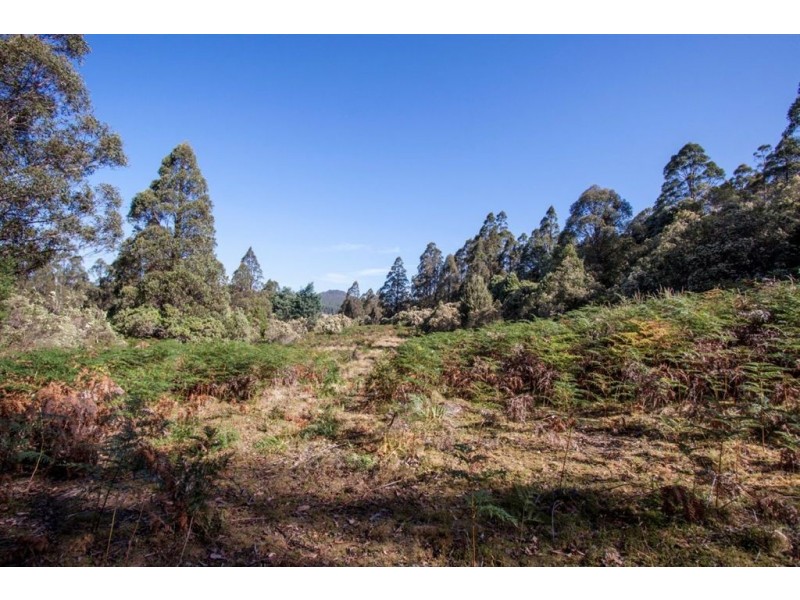 - Nicholls Rivulet Road, Nicholls Rivulet TAS 7112