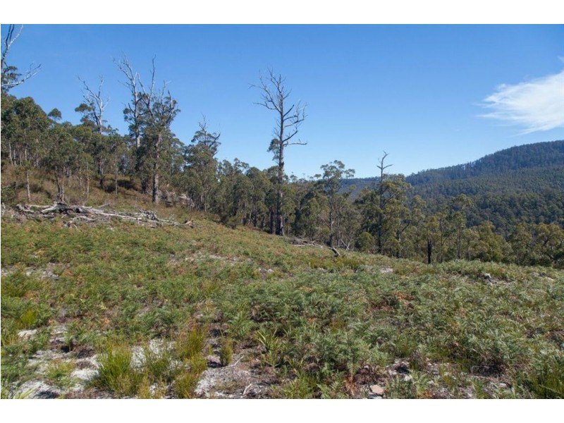 - Available on Request, Surges Bay TAS 7116