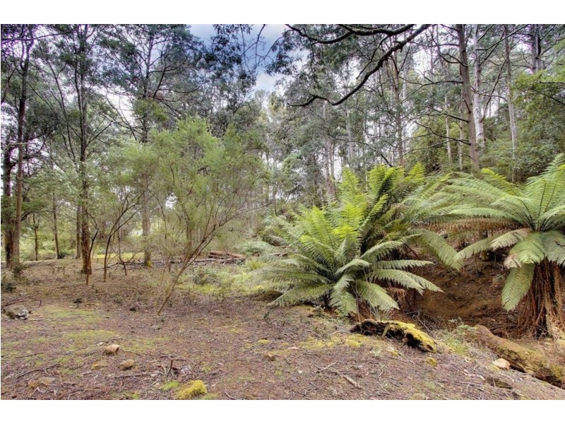 109 Carters Road, Port Huon TAS 7116