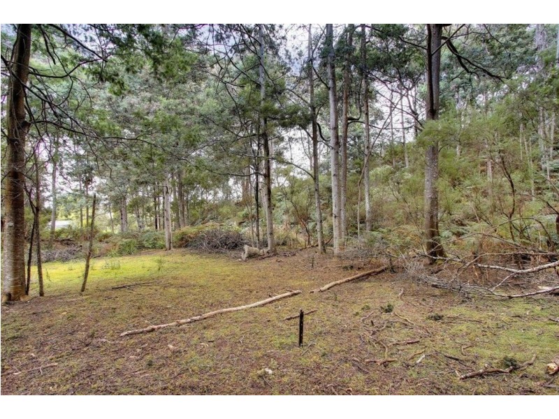 109 Carters Road, Port Huon TAS 7116