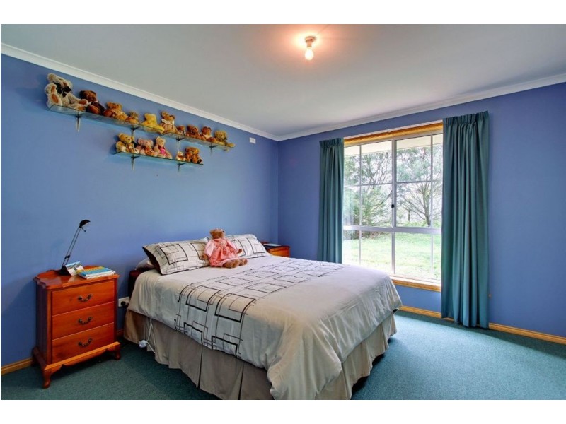 53 Longleys Road, Huonville TAS 7109