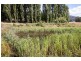 33 Smiths Road, Huonville TAS 7109
