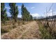 33 Smiths Road, Huonville TAS 7109