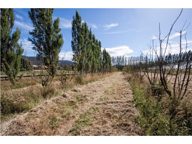 33 Smiths Road, Huonville TAS 7109