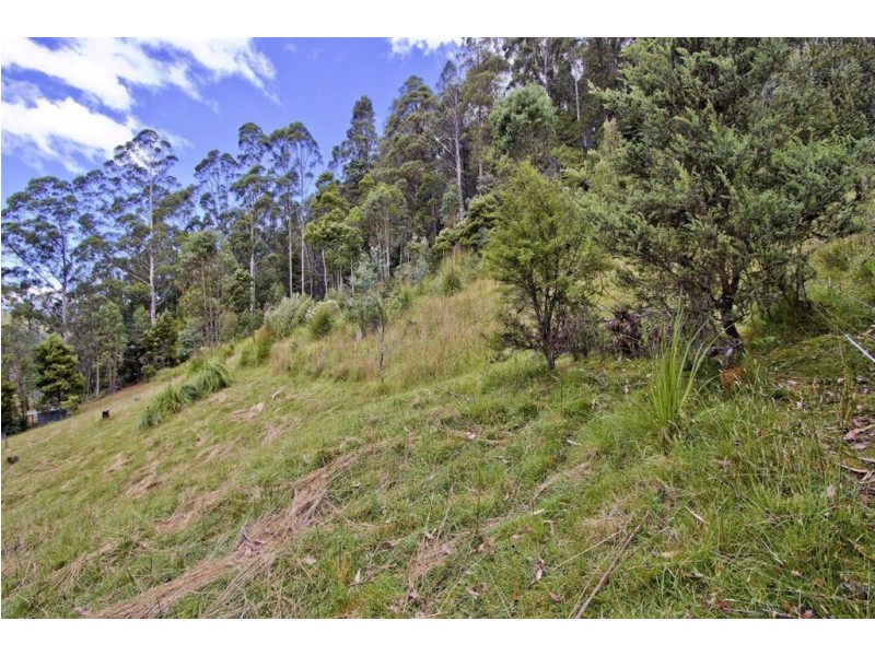 - Smiths Road, Nicholls Rivulet TAS 7112