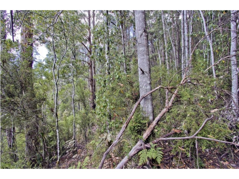 - Smiths Road, Nicholls Rivulet TAS 7112