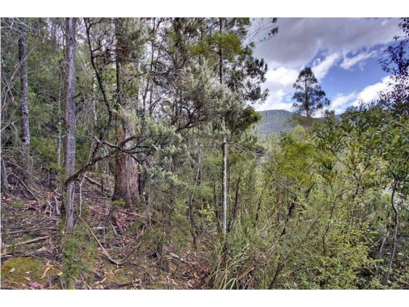 - Smiths Road, Nicholls Rivulet TAS 7112