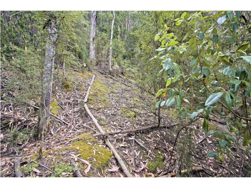 - Smiths Road, Nicholls Rivulet TAS 7112