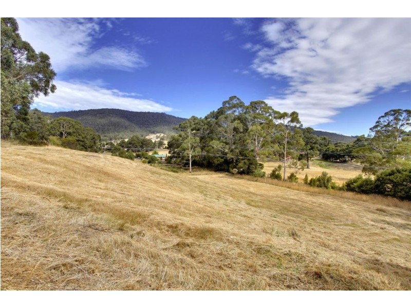 29 Conlans Road, Huonville TAS 7109