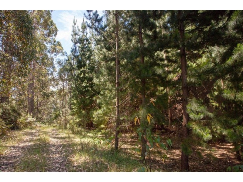 - Huon Highway, Glendevie TAS 7109