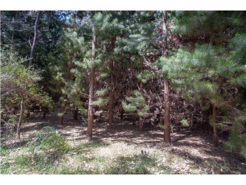 - Huon Highway, Glendevie TAS 7109