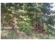 - Huon Highway, Glendevie TAS 7109