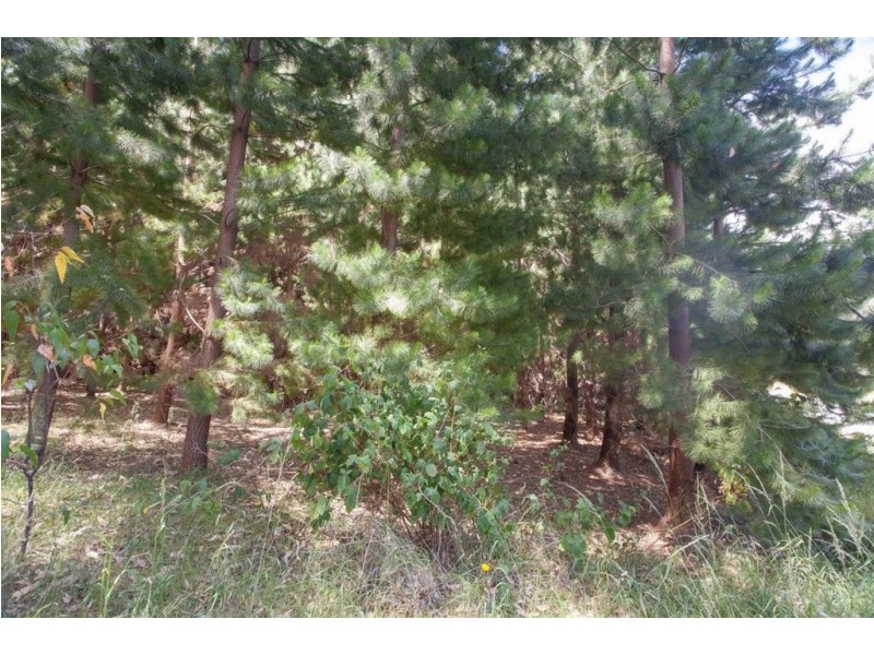 - Huon Highway, Glendevie TAS 7109
