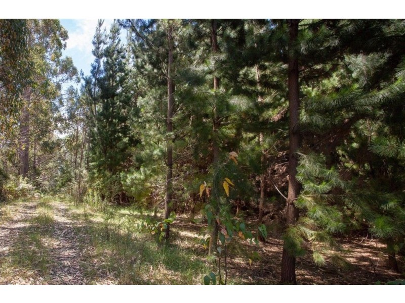 - Huon Highway, Glendevie TAS 7109
