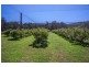 190 Cygnet Coast Road, Lymington TAS 7109