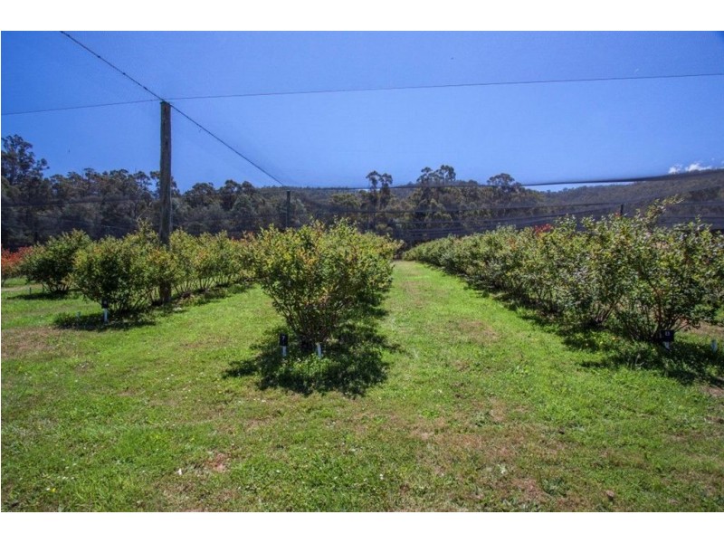 190 Cygnet Coast Road, Lymington TAS 7109