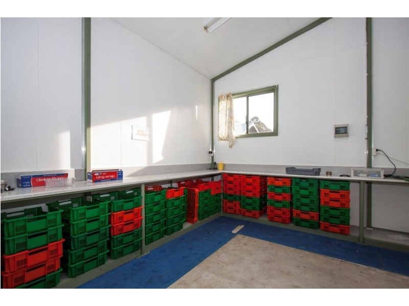 190 Cygnet Coast Road, Lymington TAS 7109