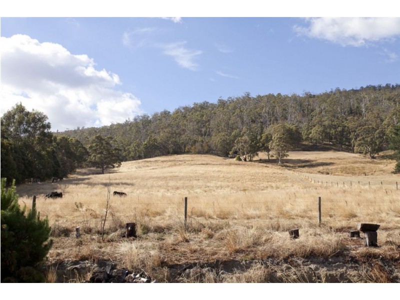 87 Benders Road, Huonville TAS 7109