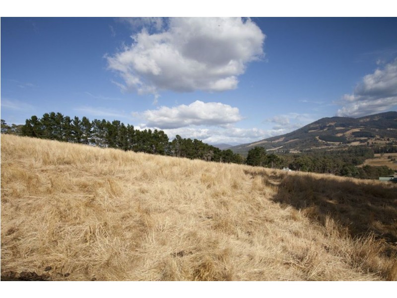 87 Benders Road, Huonville TAS 7109