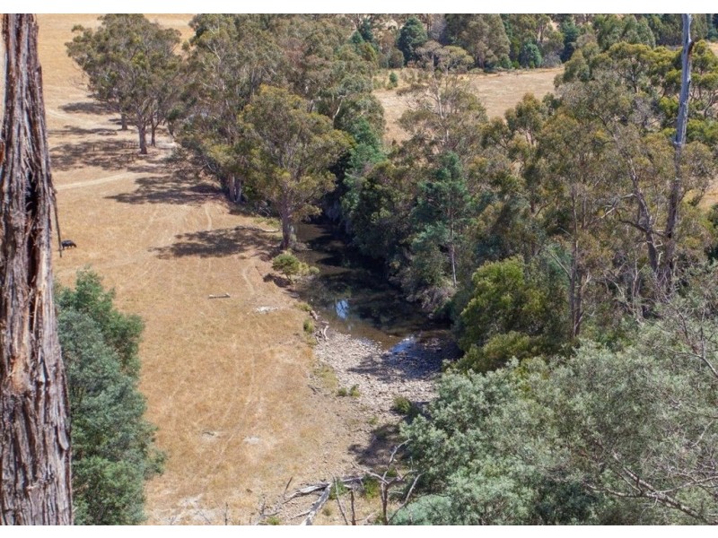 269 Woolleys Road, Lonnavale TAS 7109