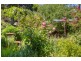 156 Graces Road, Glaziers Bay TAS 7109