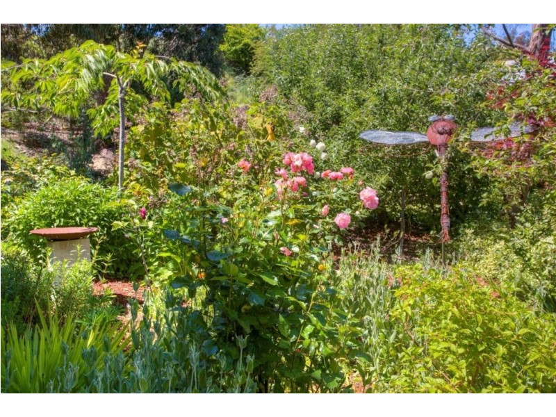 156 Graces Road, Glaziers Bay TAS 7109