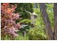 156 Graces Road, Glaziers Bay TAS 7109