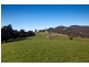 - Cawthorns Road, Wattle Grove TAS 7109