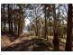 - Cawthorns Road, Wattle Grove TAS 7109